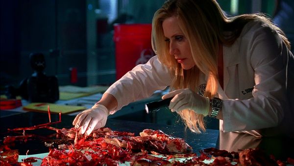 CSI: Miami - Estética