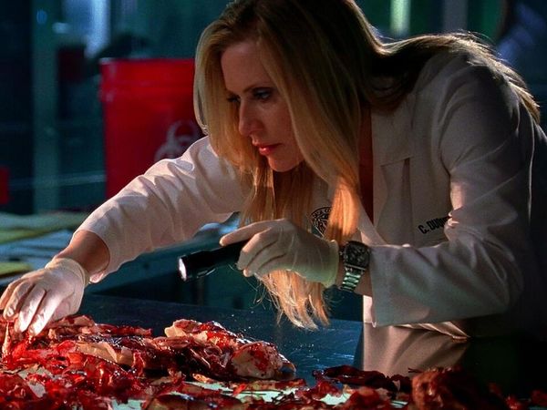 CSI: Miami - Estética