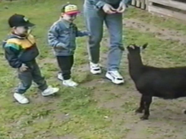 Life's Funniest Moments - Kids Special