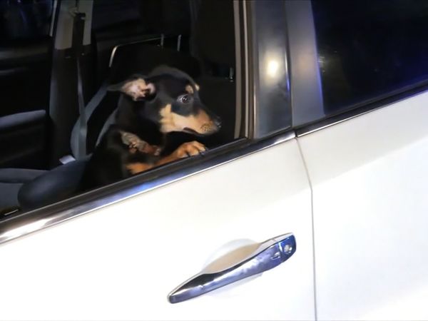 On Patrol: Live - Car into a Pole (7-18-2025)