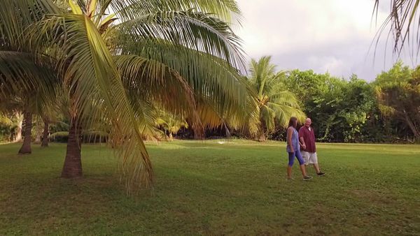 Caribbean Life - Diving Into Utila