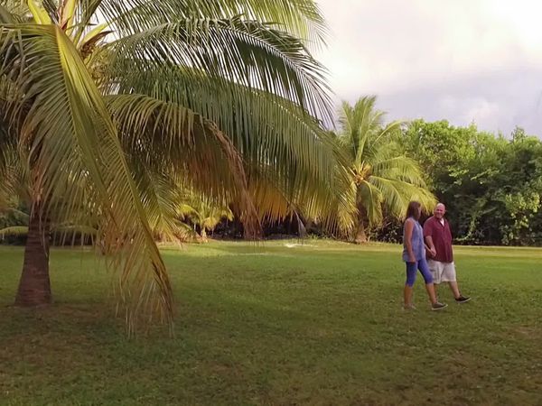 Caribbean Life - Diving Into Utila