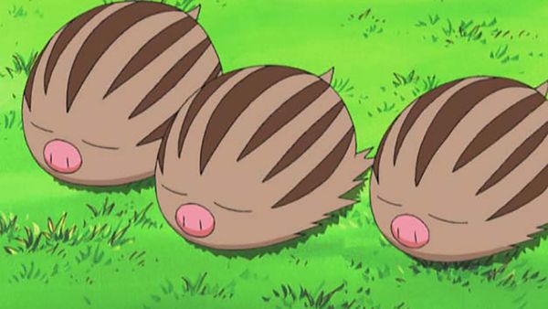 Pokémon: DP Battle Dimension - A Fonte Termal Secou!