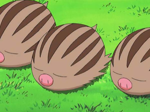 Pokémon: DP Battle Dimension - A Fonte Termal Secou!