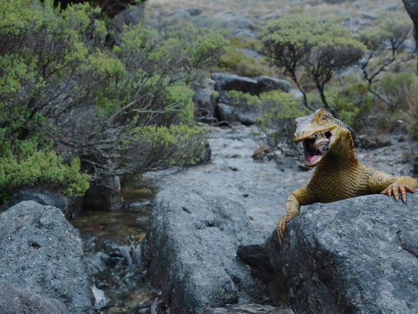 La Tierra Antigua: Los Dinosaurios del Continente de Hielo - Hacia los Confines de la Tierra