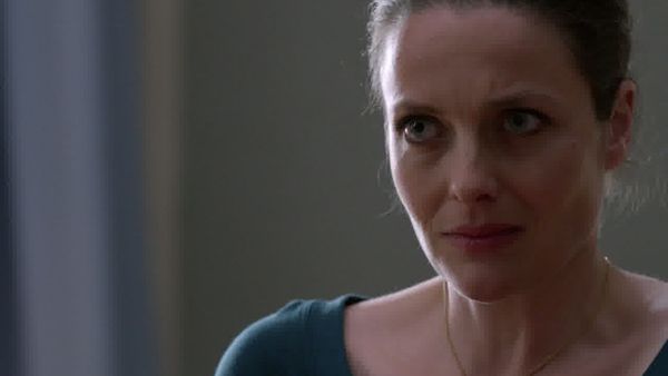 Borgen - Thou Shalt Not Commit Adultery