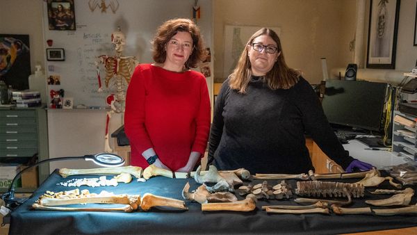 Ancient Murders Unearthed - Idaho Torso