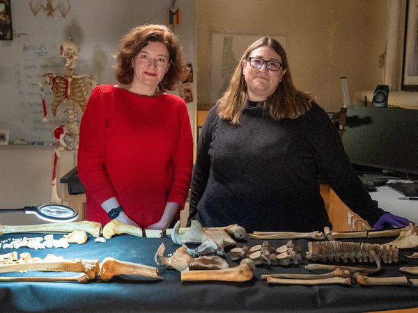 Ancient Murders Unearthed - Idaho Torso