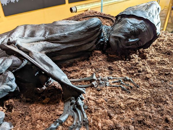Ancient Murders Unearthed - Tollund Man