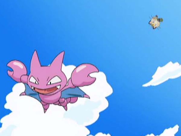 Pokémon: DP Battle Dimension - Chim-Chama!