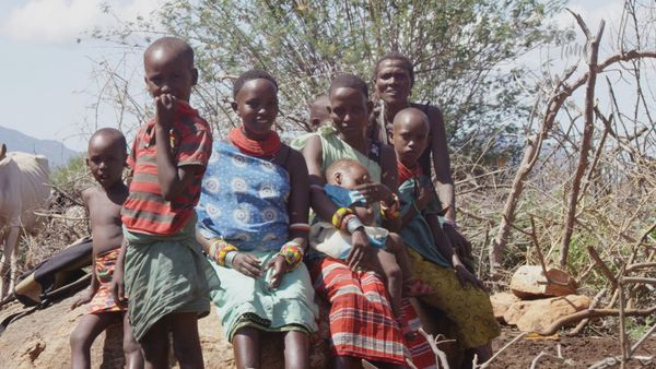 Diarios de Vida Silvestre de Kenia - Desvanecimiento De La Naturaleza
