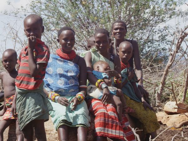 Diarios de Vida Silvestre de Kenia - Desvanecimiento De La Naturaleza