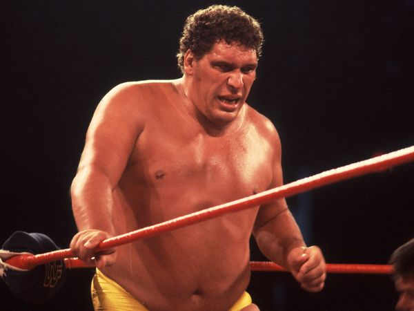 Autopsy: The Last Hours of... - Andre The Giant