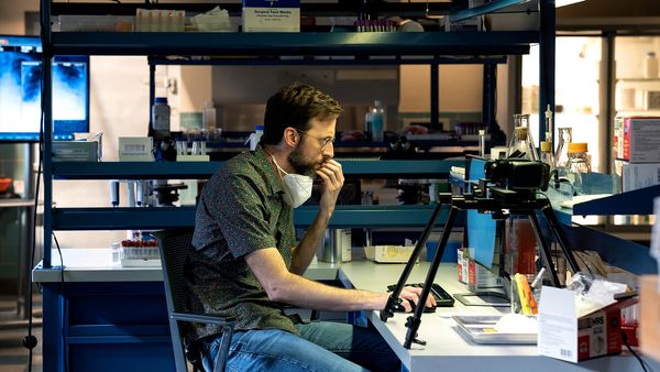 NCIS: New Orleans - Das Schiff der Verdammten (2)