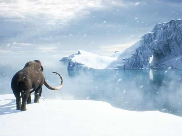 Secrets In The Ice - Iceland's Glacier Tomb