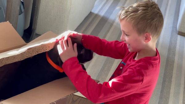 Andrew Schrock - I Miss My Kids / Puppy Surprise!
