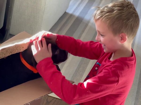 Andrew Schrock - I Miss My Kids / Puppy Surprise!