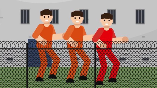 The Infographics Show: Prison & Punishment - Releasing All 2 Million U.S. Prisoners