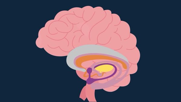 Infographics Show: Mind & Body, The - How Too Much Weed Can Make Your Brain Go Haywire