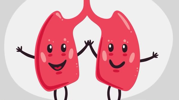Infographics Show: Mind & Body, The - What Happens to Your Body When You Do Cocaine and Why Don't You Get Sick When Eating Moldy Cheese?