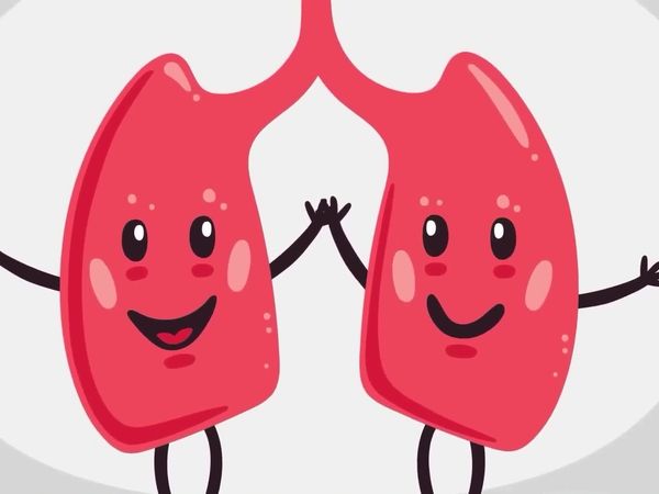 Infographics Show: Mind & Body, The - What Happens to Your Body When You Do Cocaine and Why Don't You Get Sick When Eating Moldy Cheese?