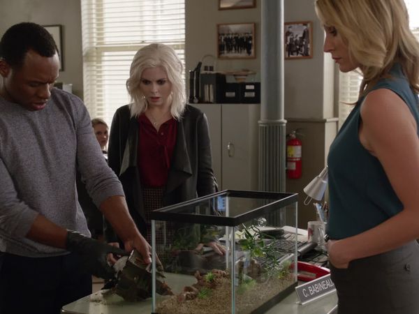 iZombie - Max Wager
