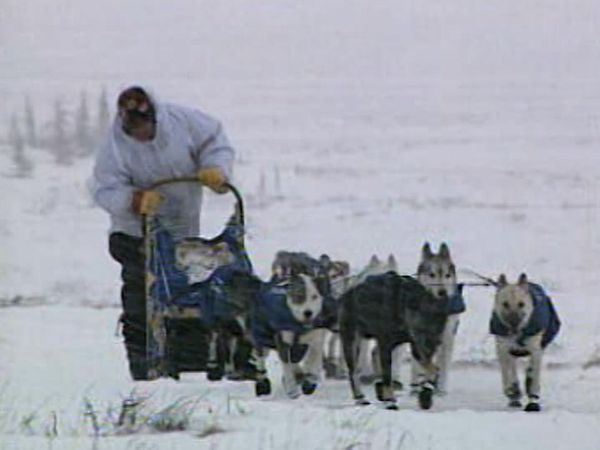 Expeditions to the Edge - Iditarod Blizzard