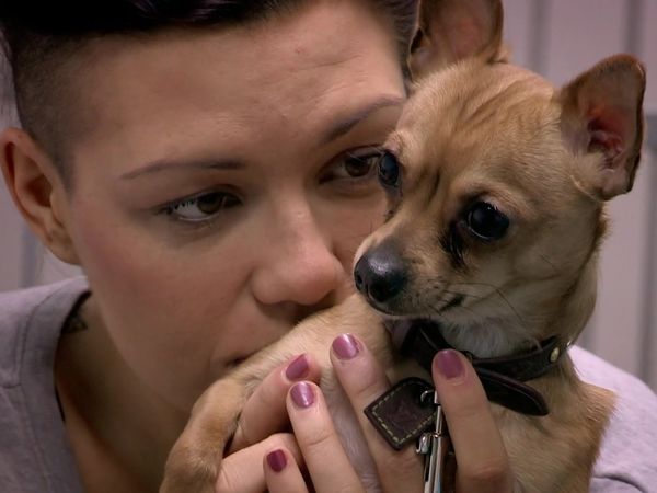 Paul O'Grady: For the Love of Dogs - Episode 5
