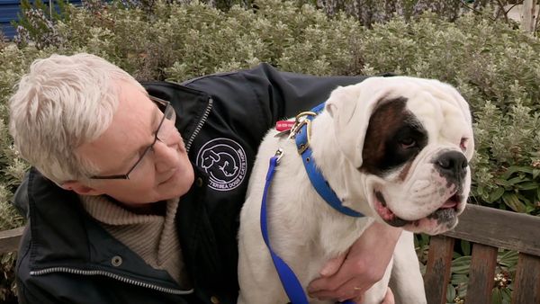 Paul O'Grady: For the Love of Dogs - Episode 6