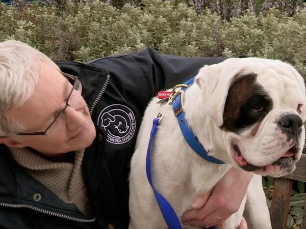 Paul O'Grady: For the Love of Dogs - Episode 6