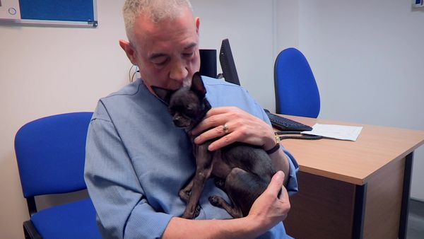 Paul O'Grady: For the Love of Dogs - Episode 3