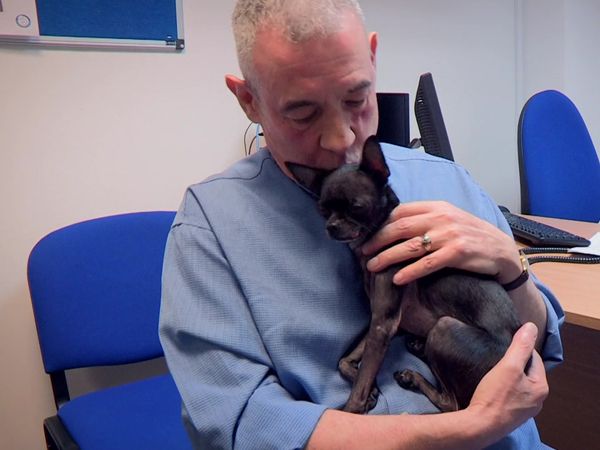Paul O'Grady: For the Love of Dogs - Episode 3