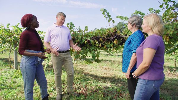 Homegrown - Work Smarter, Not Harder