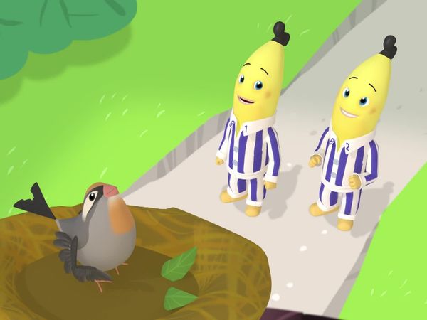 Bananas de Pijamas - As Bananas Saltitantes/Turnê Mundial