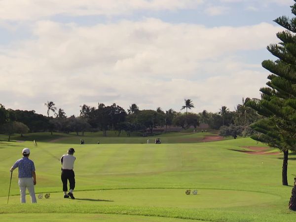 Hawaii Life - Less House, More Oahu