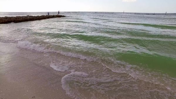 Island Life - Waterfront Living on Sunny Marco Island