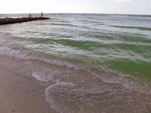 Island Life - Waterfront Living on Sunny Marco Island
