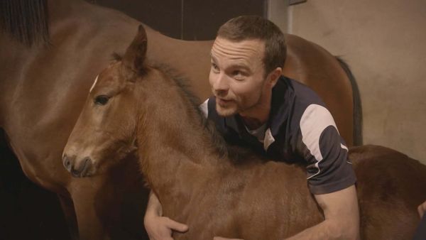 Scottish Vets Down Under - Episode 2