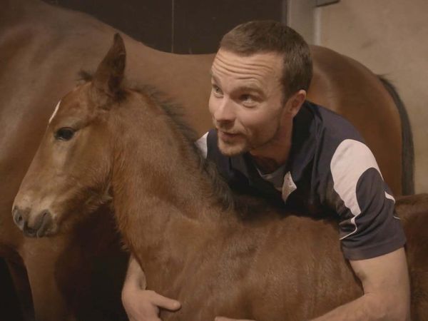Scottish Vets Down Under - Episode 2