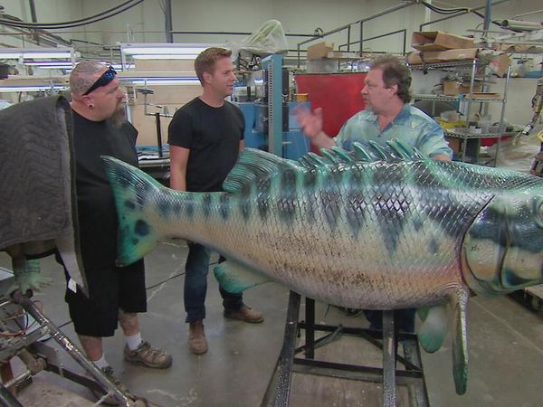 Auction Hunters - Haff-Inated