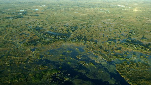 Die wilden Flüsse Afrikas - Okavango