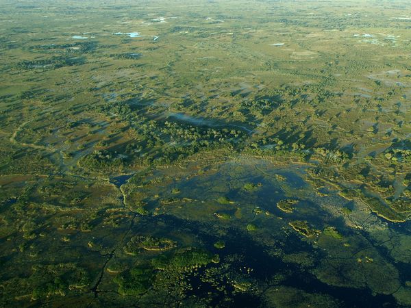 Die wilden Flüsse Afrikas - Okavango