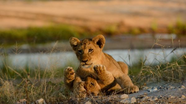 Die wilden Flüsse Afrikas - Sand