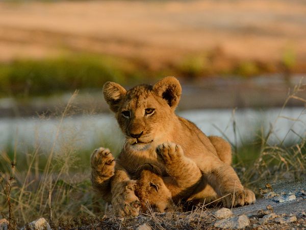Die wilden Flüsse Afrikas - Sand
