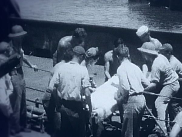 Shark Terror - Verloren auf hoher See - Episode 2