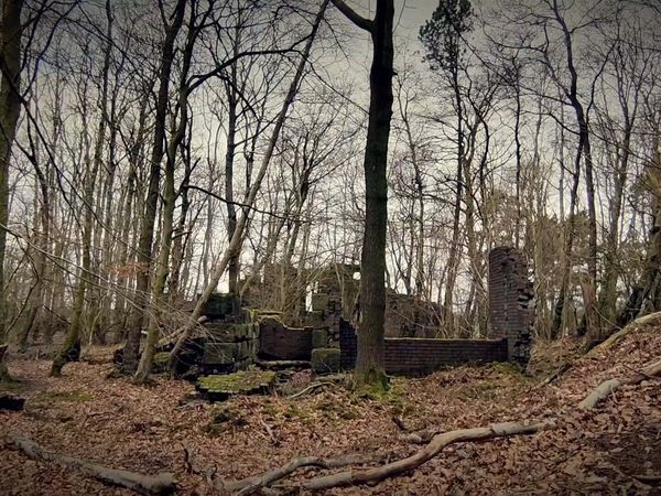 Ghost Dimension - Ghosts of the Pumping Pit