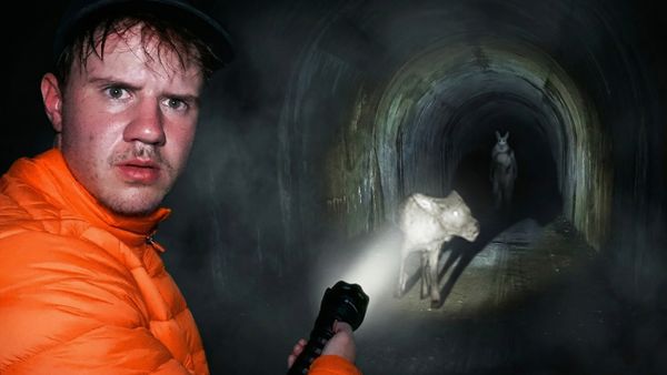 GroovyGavin - Chupacabra or Bunnyman?