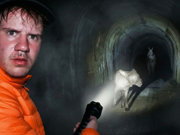 GroovyGavin - Chupacabra or Bunnyman?