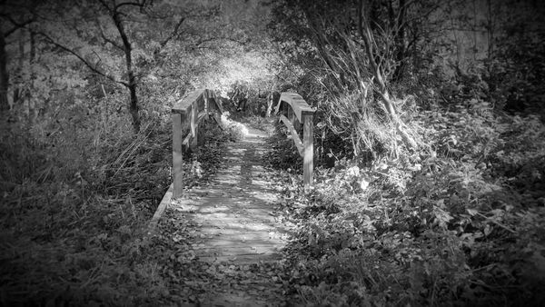 Ghost Dimension - Sands Lake Secrets: Paranormal Mysteries