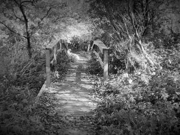 Ghost Dimension - Sands Lake Secrets: Paranormal Mysteries